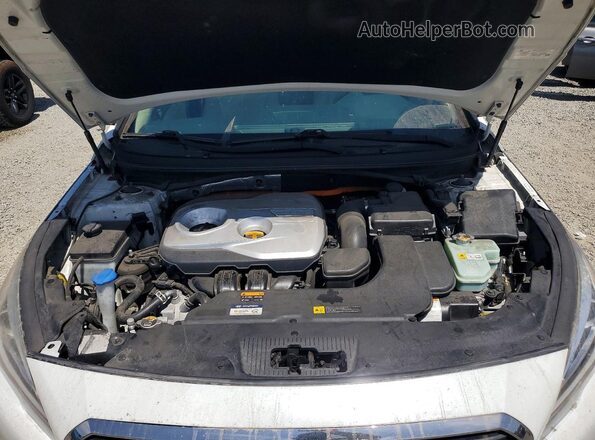 KMHE34L3XHA077244 2017 HYUNDAI SONATA White უკანა სალონის ხედი