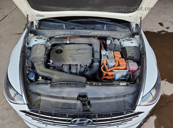 KMHL34JJ2MA034455 2021 HYUNDAI SONATA White Սալոնի հետևի տեսք