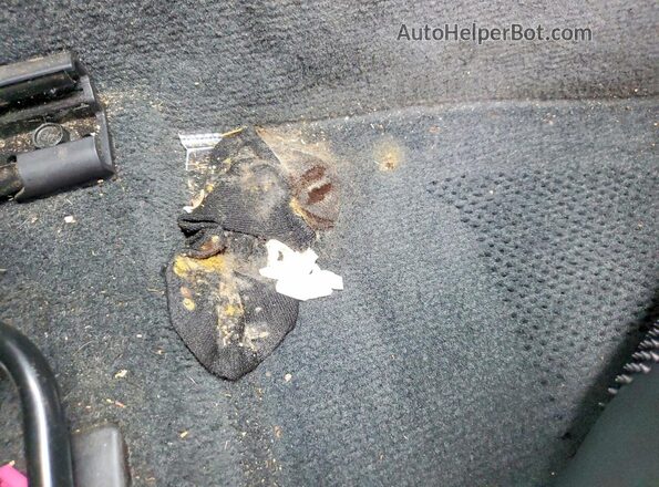 KMHL44J21PA298146 2023 HYUNDAI SONATA Gray Widok komory silnika