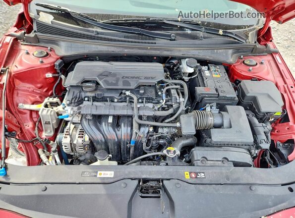 KMHLL4DG0SU899307 2025 HYUNDAI ELANTRA Red უკანა სალონის ხედი