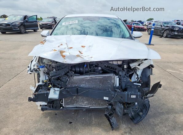 KMHLL4DG3RU828340 2024 HYUNDAI ELANTRA Белый Вид спереди