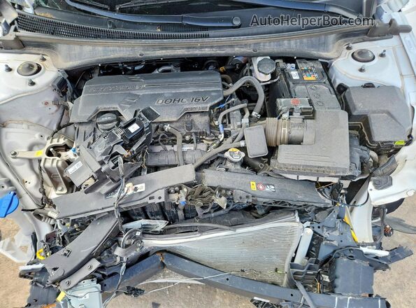 KMHLL4DG3RU828340 2024 HYUNDAI ELANTRA Белый Вид задней части салона
