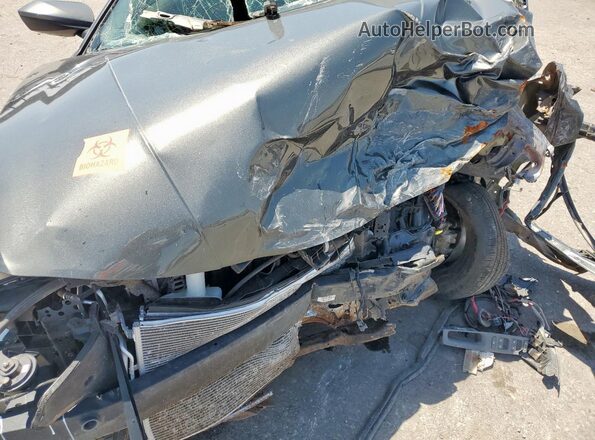 KMHLL4DG7RU849093 2024 HYUNDAI ELANTRA Gray Widok wnętrza z tyłu