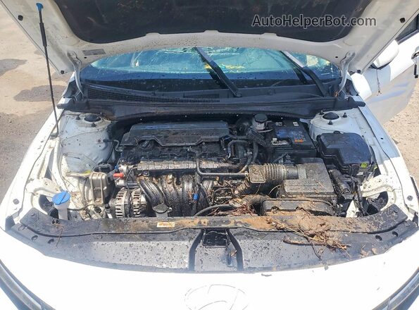 KMHLM4DG4RU712643 2024 HYUNDAI ELANTRA White Вид задньої частини салону