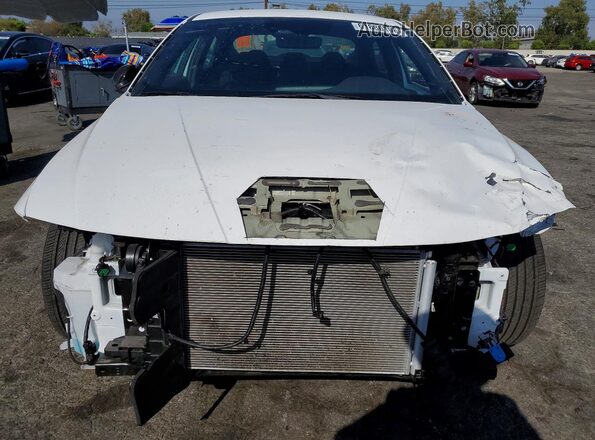 KMHLM4DG8TU191496 2026 HYUNDAI ELANTRA Белый Вид спереди