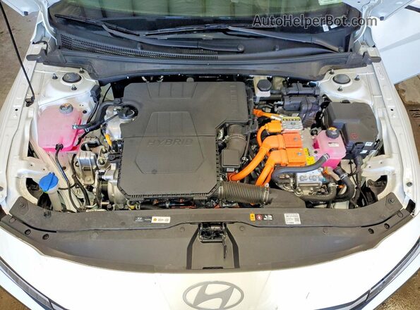 KMHLM4DJ6TU200577 2026 HYUNDAI ELANTRA Белый Вид задней части салона
