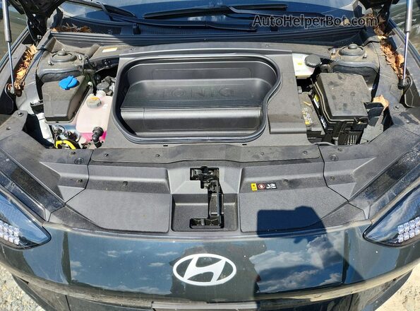 KMHM34AC2RA067131 2024 HYUNDAI IONIQ Серый Вид задней части салона