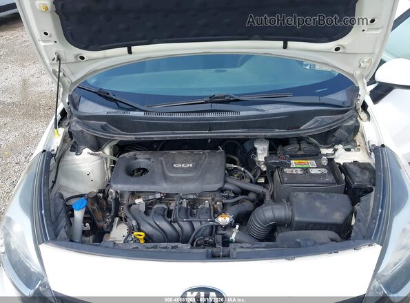 KNADM4A39G6000895 2016 KIA RIO Белый Вид сзади