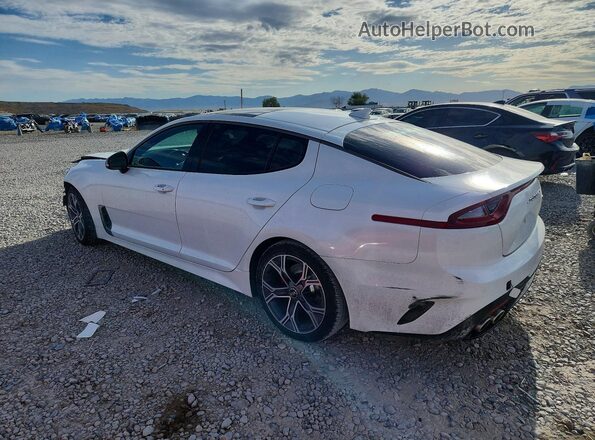 KNAE15LA4M6092038 2021 KIA STINGER White Задня ліва чверть