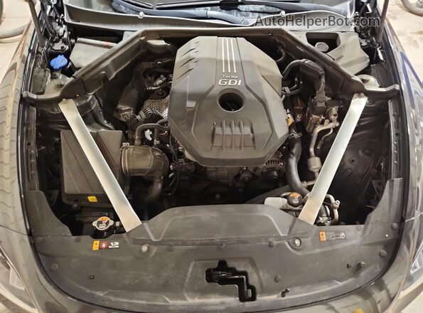 KNAE15LA9M6089782 2021 KIA STINGER Угольный Вид задней части салона