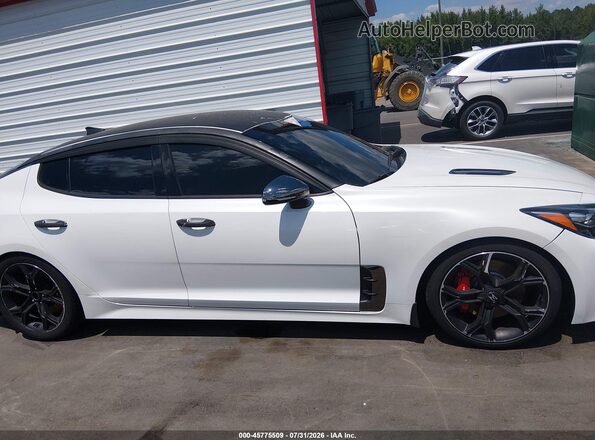 KNAE35LC0K6063323 2019 KIA STINGER White Вид задньої частини салону