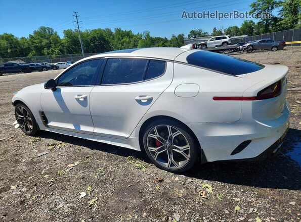 KNAE45LC1K6044437 2019 KIA STINGER Белый Задняя левая четверть