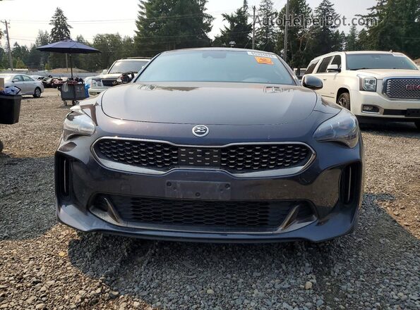 KNAE45LC5L6083243 2020 KIA STINGER Gray Դիմացի տեսք