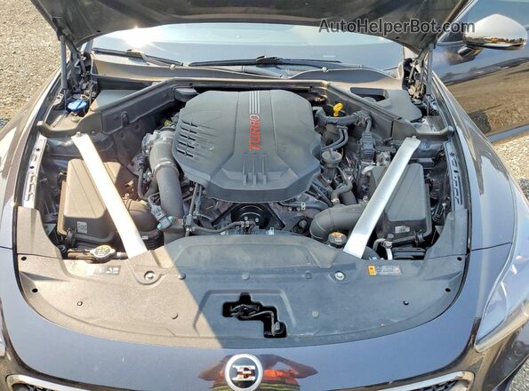KNAE45LC5L6083243 2020 KIA STINGER Gray Սալոնի հետևի տեսք