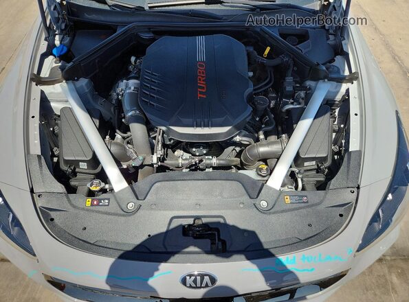 KNAE45LC7K6064904 2019 KIA STINGER Серый Вид задней части салона