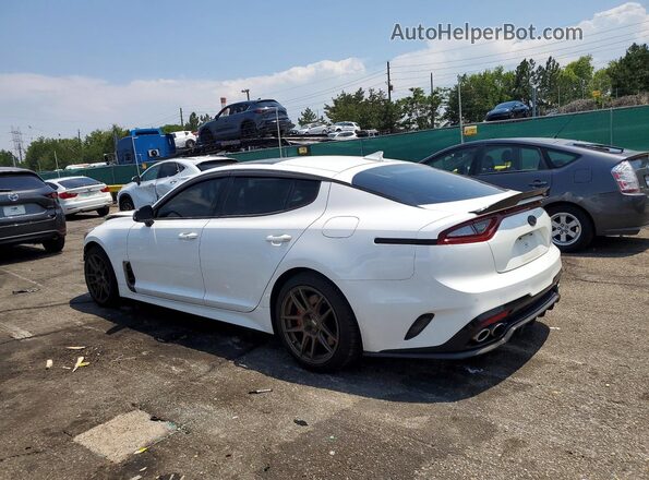 KNAE55LC4K6058278 2019 KIA STINGER White Tył lewy