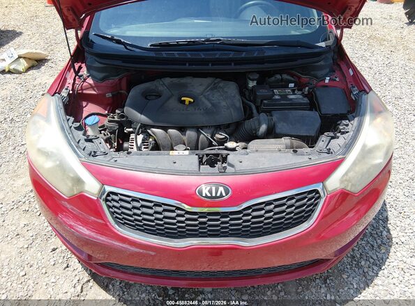 KNAFK4A65G5563554 2016 KIA FORTE Red Вид ззаду