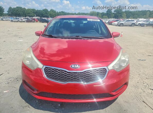 KNAFK4A6XG5609234 2016 KIA FORTE Red Widok z przodu