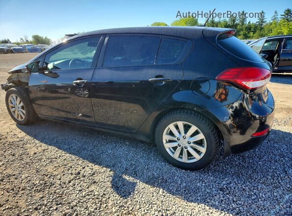 KNAFK5A80G5658207 2016 KIA FORTE Black Tył lewy