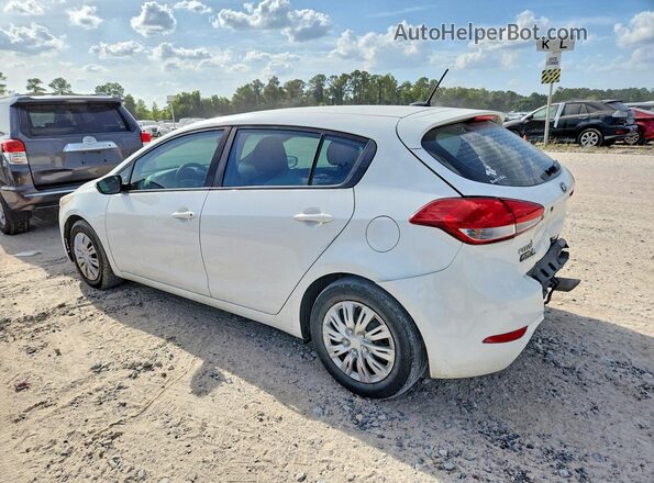 KNAFK5A86H5721702 2017 KIA FORTE White Tył lewy