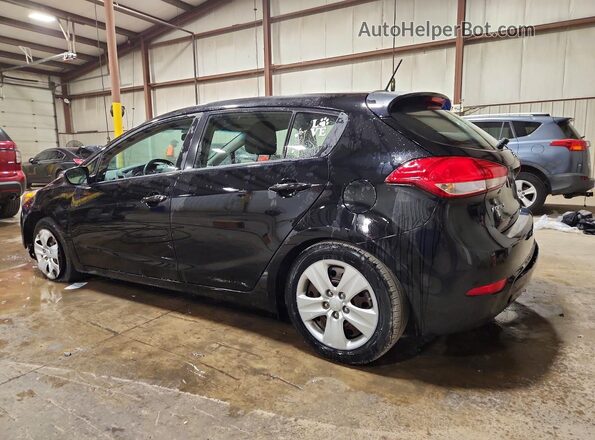 KNAFK5A8XG5583774 2016 KIA FORTE Black Tył lewy