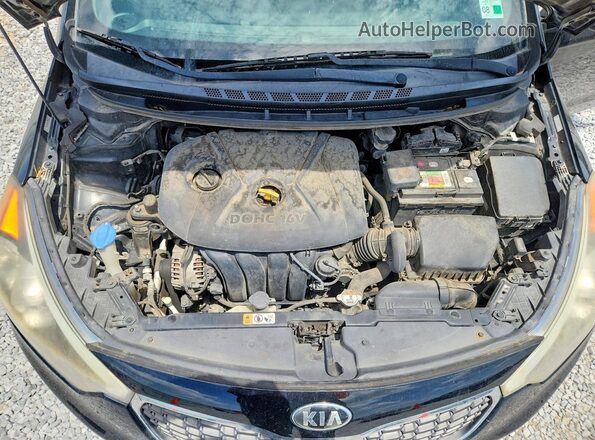 KNAFX4A60G5520161 2016 KIA FORTE Черный Вид задней части салона