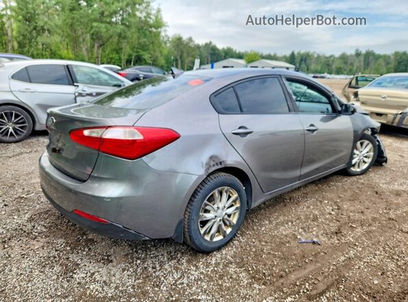 KNAFX4A64G5595462 2016 KIA FORTE Gray Tył prawy