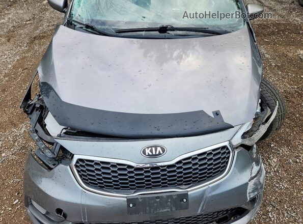 KNAFX4A64G5595462 2016 KIA FORTE Gray Widok wnętrza z tyłu