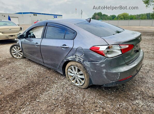 KNAFX4A64G5595462 2016 KIA FORTE Gray Tył lewy