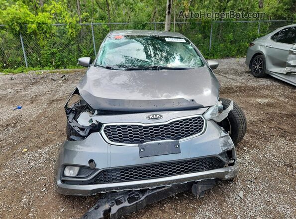 KNAFX4A64G5595462 2016 KIA FORTE Gray Widok z przodu