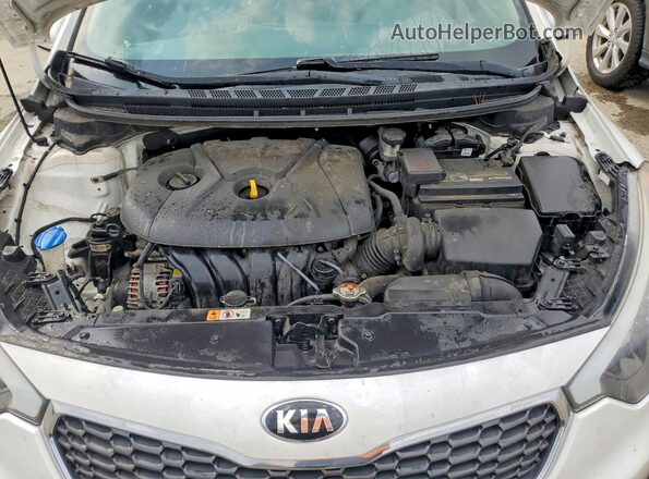 KNAFX4A6XG5535900 2016 KIA FORTE White Vista interior trasera