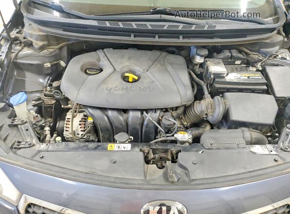 KNAFX4A6XG5580190 2016 KIA FORTE Blue Vista interior trasera
