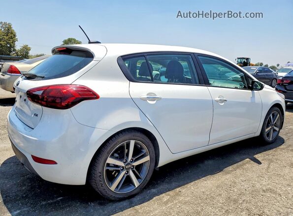 KNAFX5A85H5668640 2017 KIA FORTE White Tył prawy