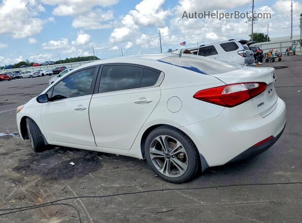 KNAFZ4A8XG5553406 2016 KIA FORTE White Задня ліва чверть