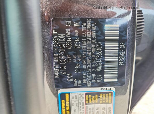 KNAG24J75S5346737 2025 KIA K5 Gray Vista del compartimento del motor