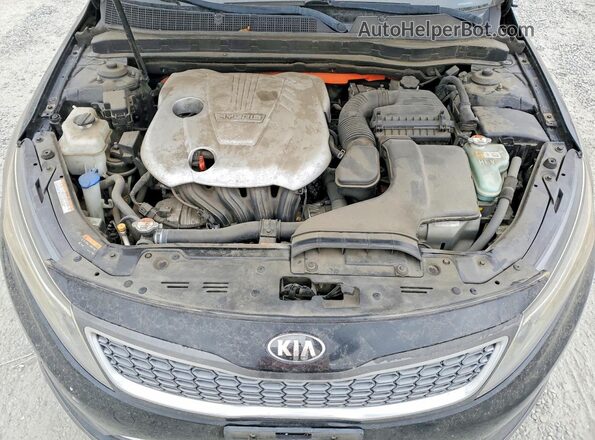 KNAGM4AD3G5096065 2016 KIA OPTIMA Черный Вид задней части салона
