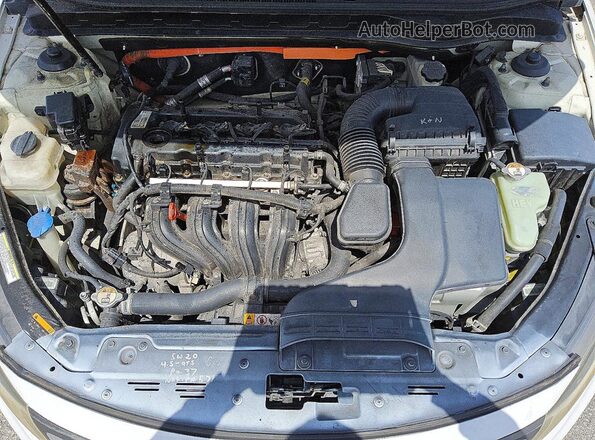 KNAGN4AD3G5094135 2016 KIA OPTIMA White Սալոնի հետևի տեսք