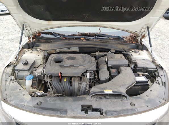 KNAGT4L32J5235648 2018 KIA OPTIMA Белый Вид сзади