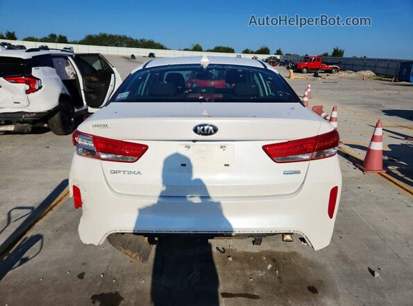 KNAGT4LE3H5016242 2017 KIA OPTIMA Белый Вид сзади