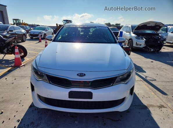 KNAGT4LE3H5016242 2017 KIA OPTIMA Белый Вид спереди