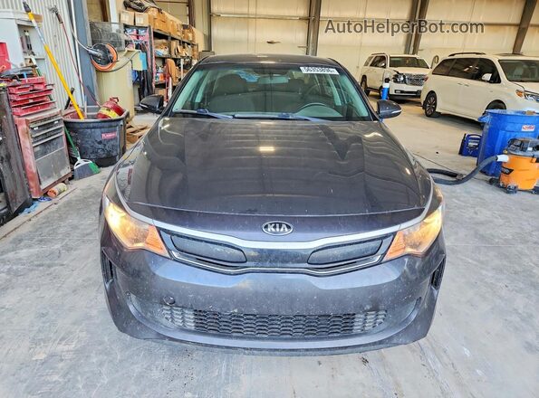 KNAGT4LE9H5018531 2017 KIA OPTIMA Gray Widok z przodu