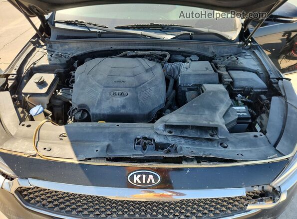 KNALC4J1XH5089851 2017 KIA CADENZA Black Vista interior trasera