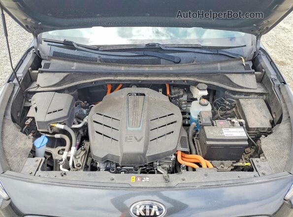 KNDCC3LG8L5070593 2020 KIA NIRO Gray Սալոնի հետևի տեսք