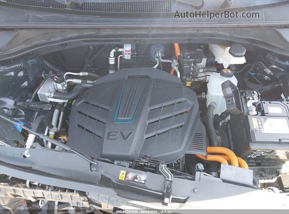 KNDCE3LG8K5030295 2019 KIA NIRO EV Dark Blue Հետևի տեսք