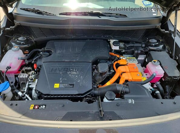 KNDCP3LE6T5332226 2026 KIA NIRO Gray Widok wnętrza z tyłu