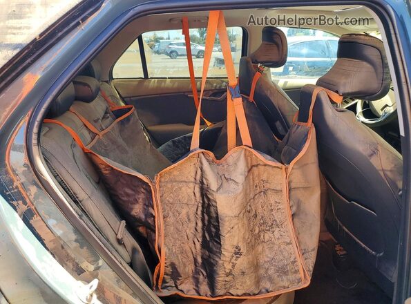 KNDCT3LE4P5038972 2023 KIA NIRO Green Вид задніх сидінь