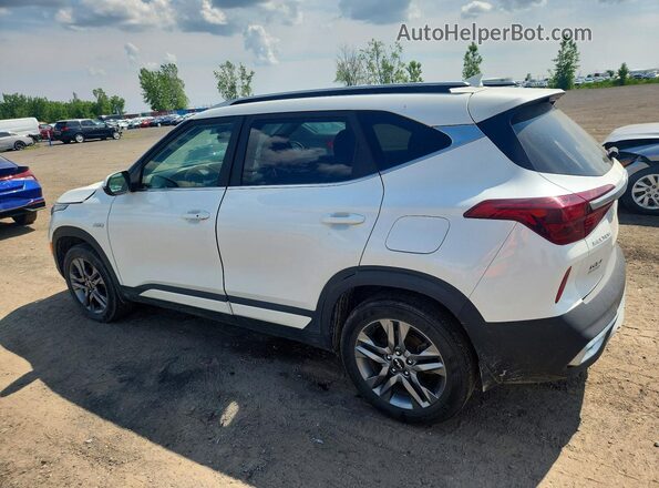 KNDEUCAA4P7464400 2023 KIA SELTOS White Trasero izquierdo