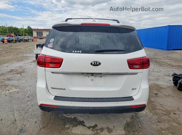 KNDMB5C14K6532803 2019 KIA SEDONA Белый Вид сзади