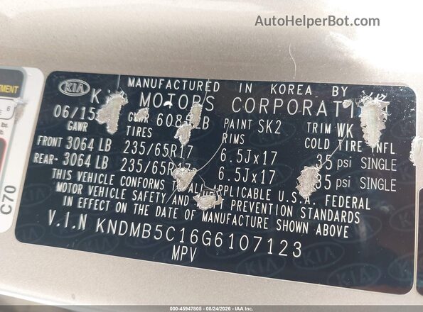 KNDMB5C16G6107123 2016 KIA SEDONA Золотой Вид подкапотного пространства