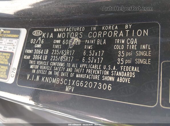 KNDMB5C1XG6207306 2016 KIA SEDONA Blue Widok komory silnika